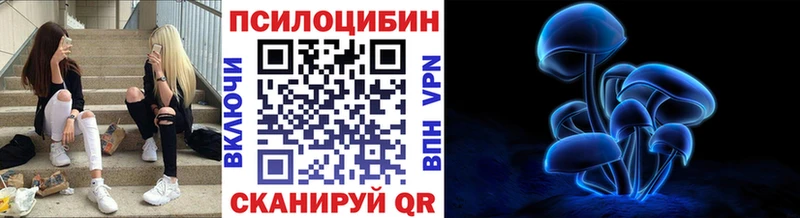 Псилоцибиновые грибы прущие грибы  Купить  Междуреченск 